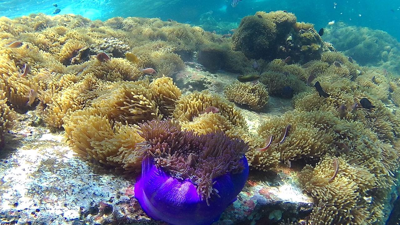 Green Adamas Resort Чумфон Екстериор снимка