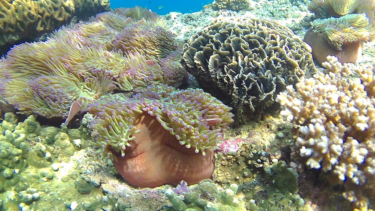 Green Adamas Resort Чумфон Екстериор снимка